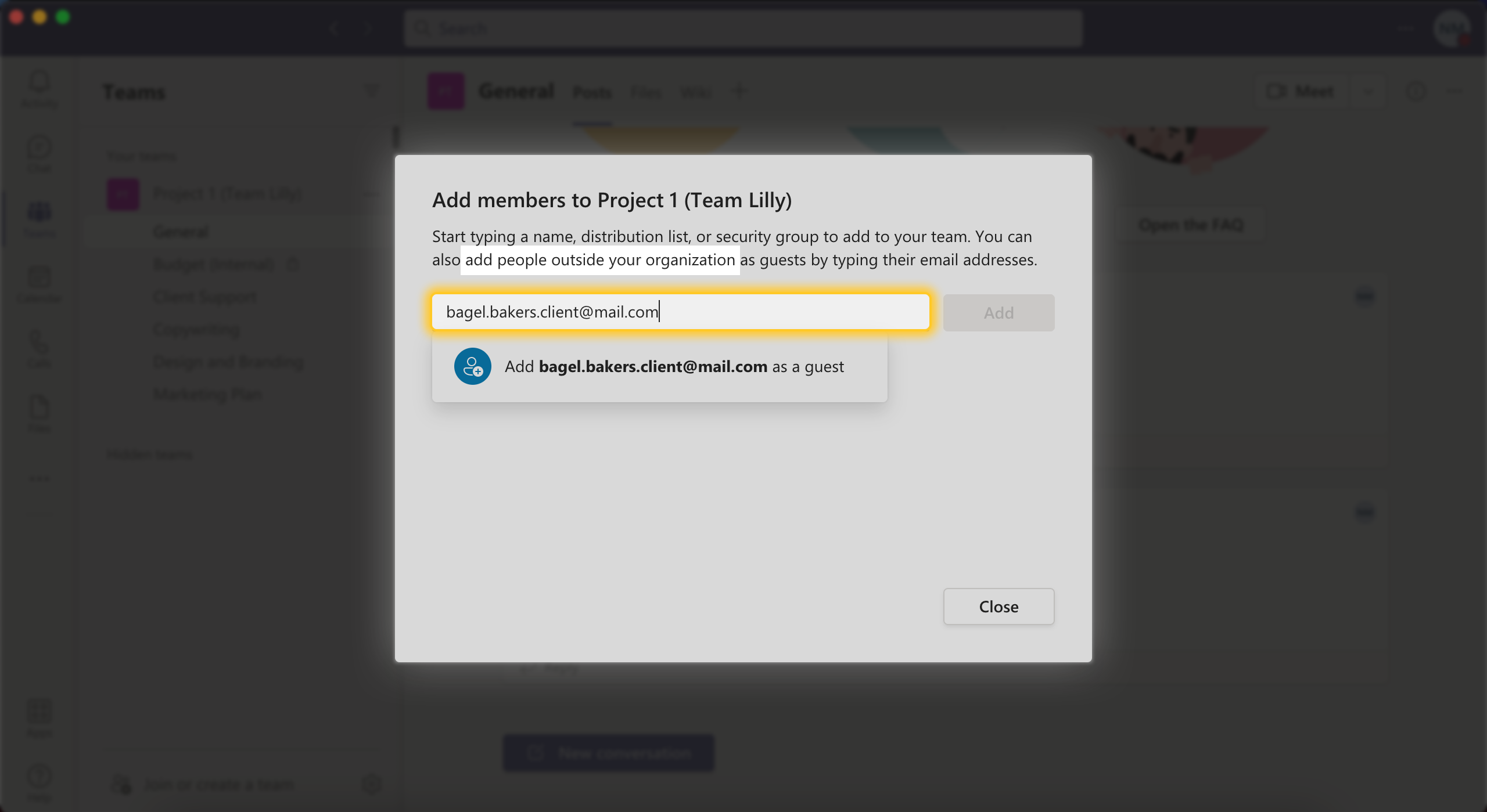 Add Guest Users